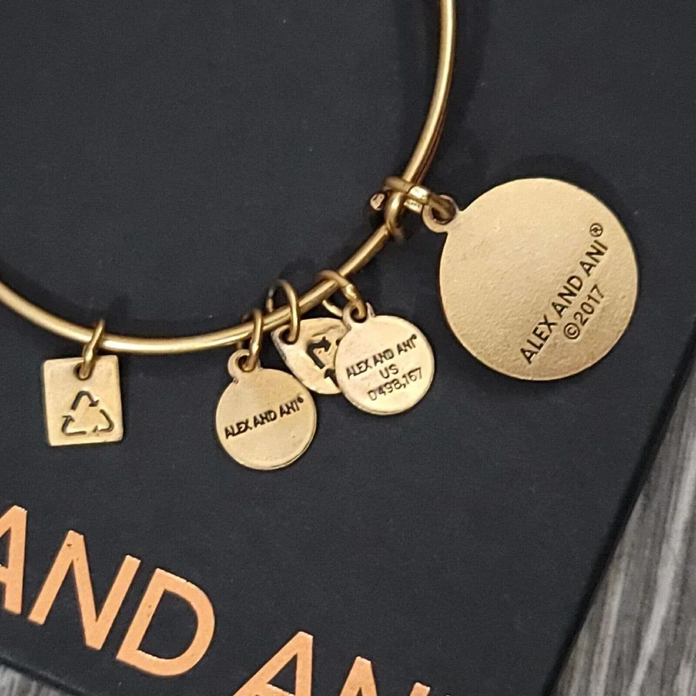 Alex and Ani Completely Blessed Charm Bracelet Positive Faith Gratitude - Picture 10 of 10